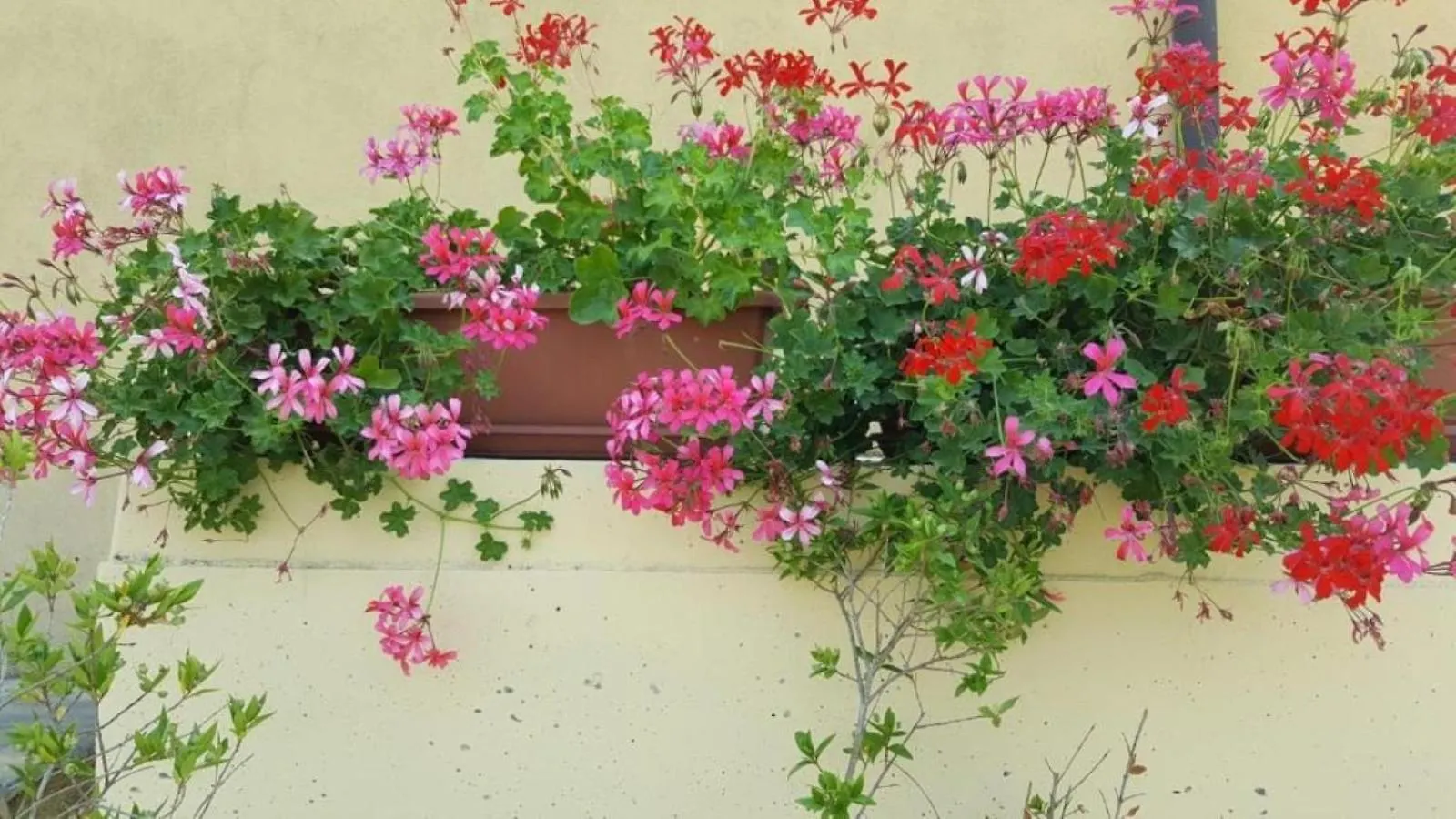 La Smeralda - Boutique Rooms And Breakfast Golfo Aranci 0*,